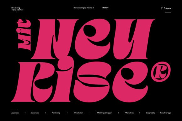 Mit Neurise: A Modern Display Serif Font for Handmade Brands